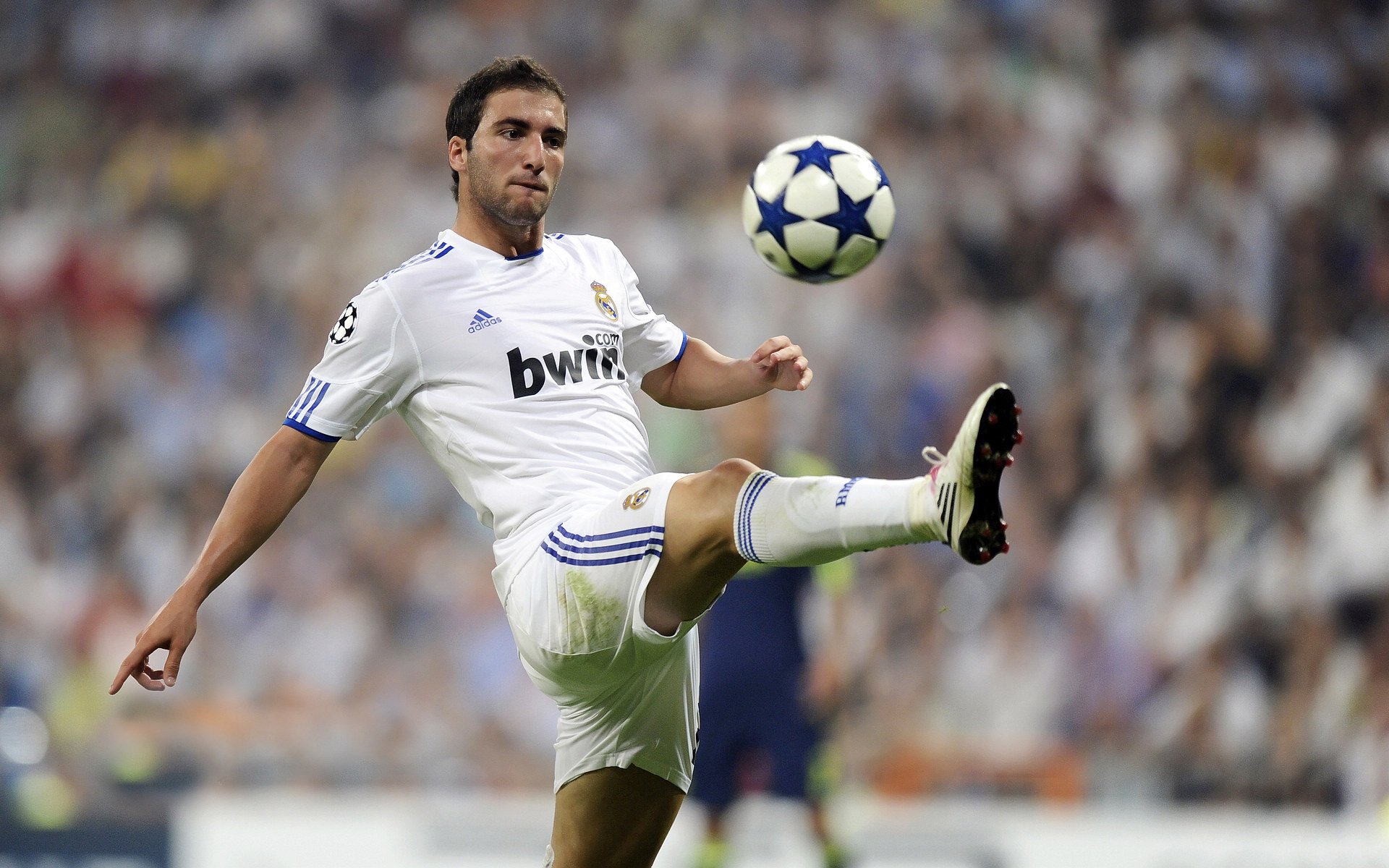 开云足球直播-北非雄鹰折翼南美高原，福登关键一击定乾坤，阿尔及利亚巅峰对决险胜厄瓜多尔